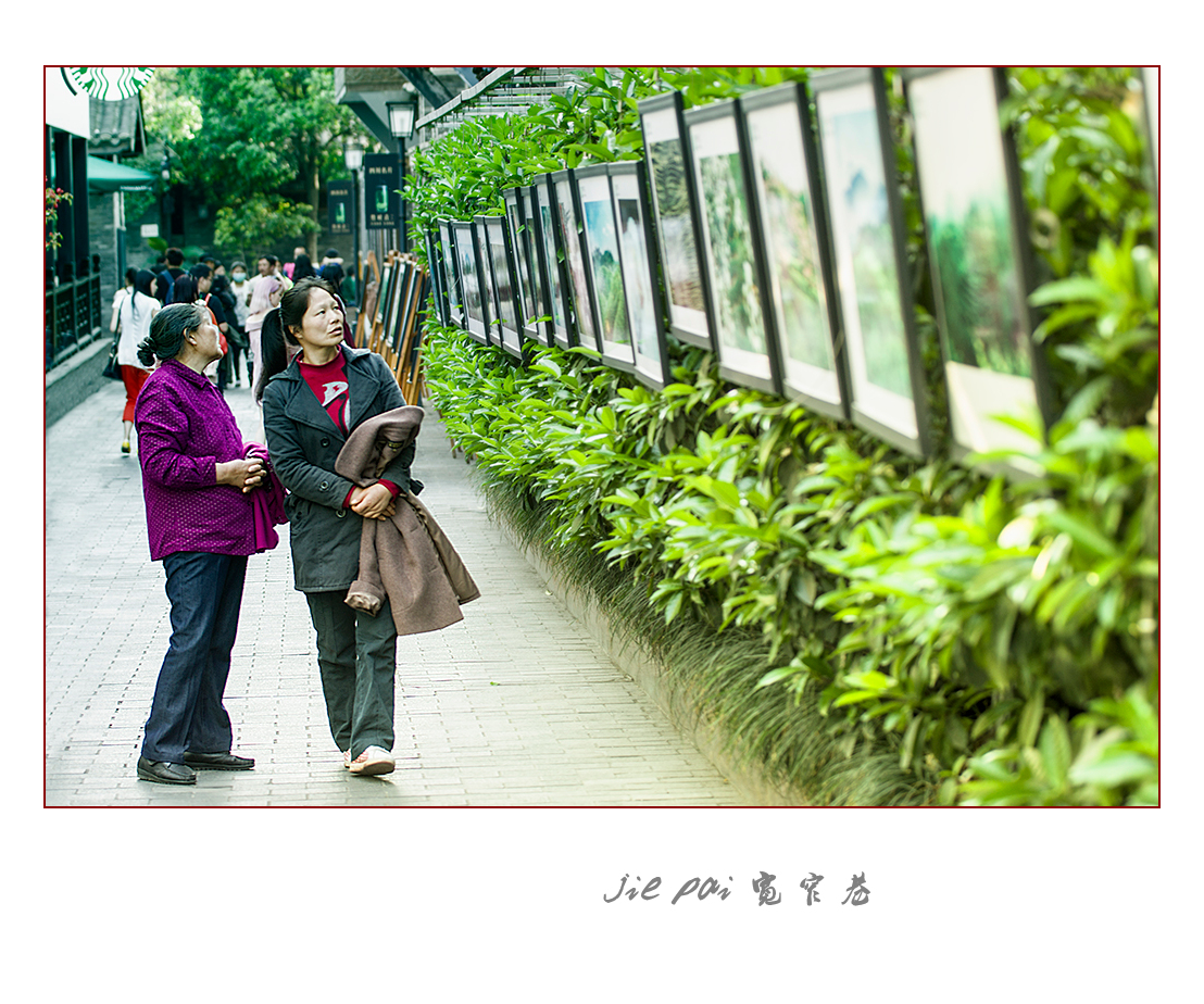 DSC03029abc.jpg