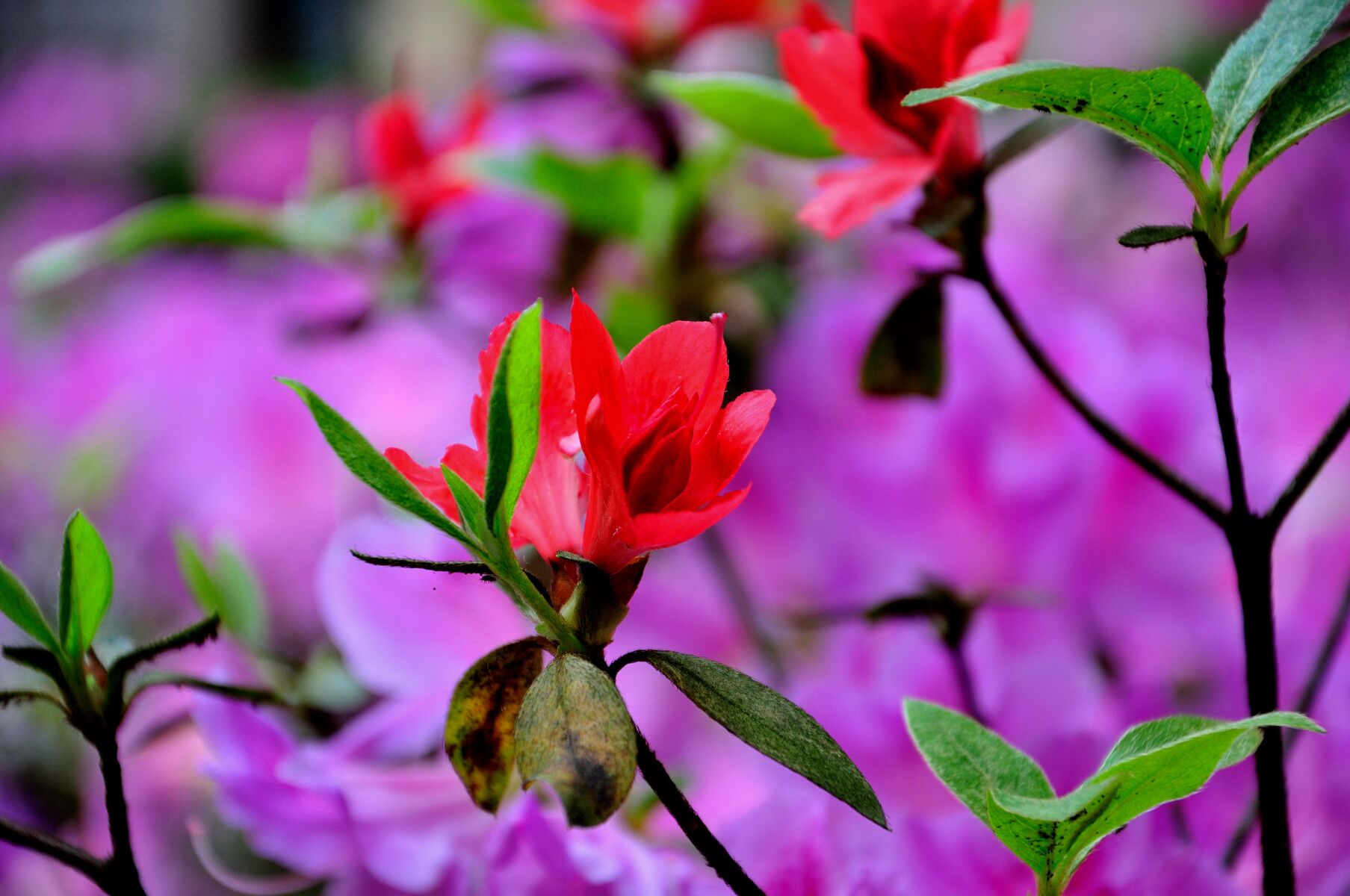 QQͼƬ20150416094145.jpg