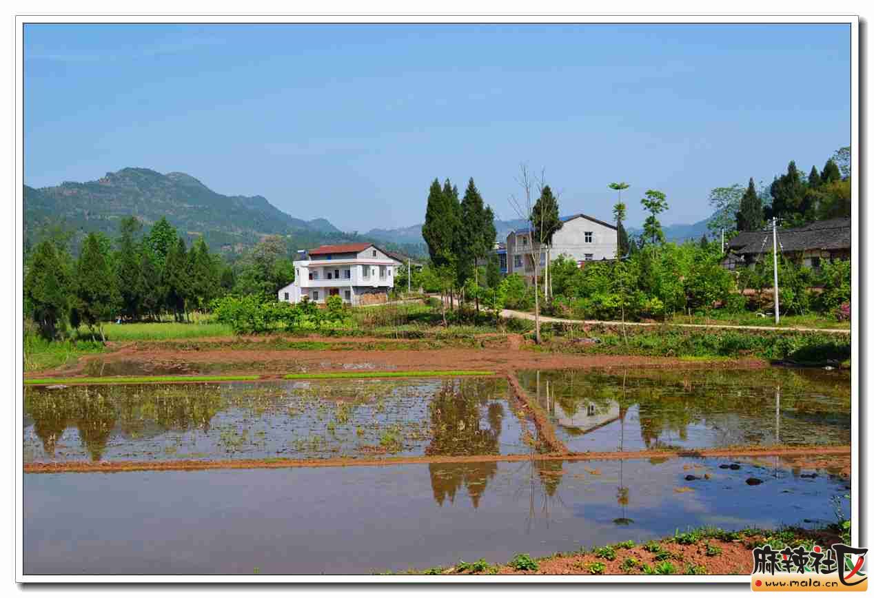 营山西桥镇图片