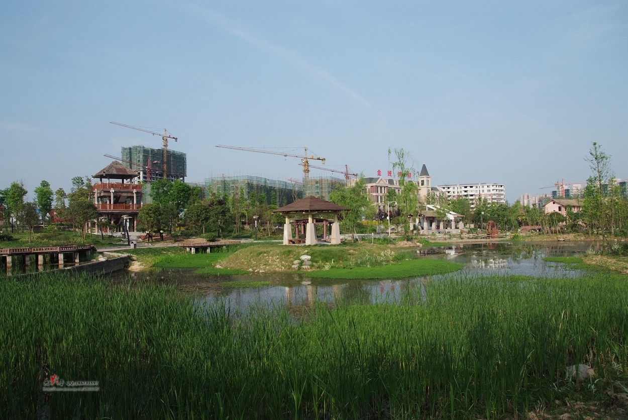 DSCF1894.jpg