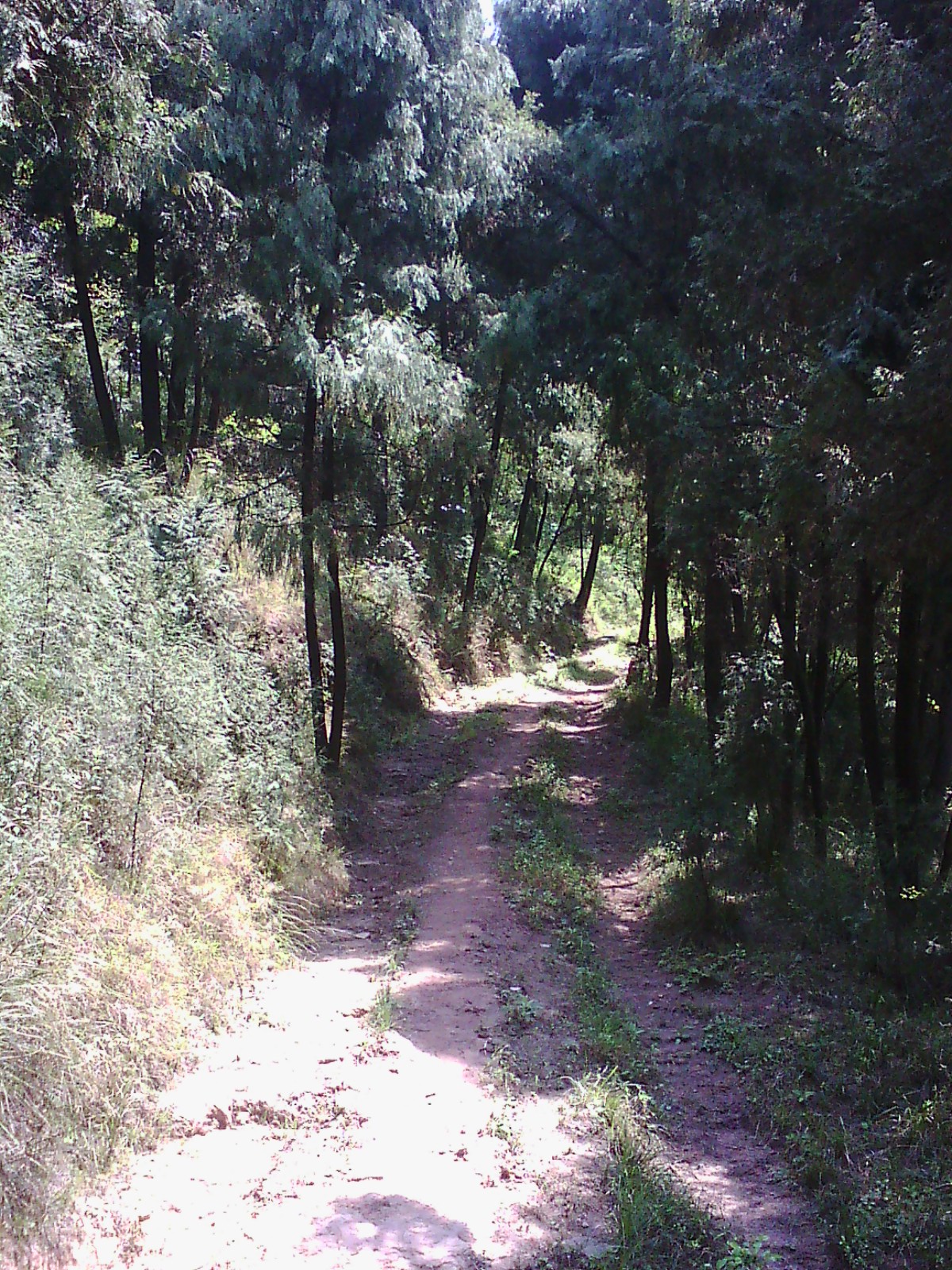 IMG00854.jpg