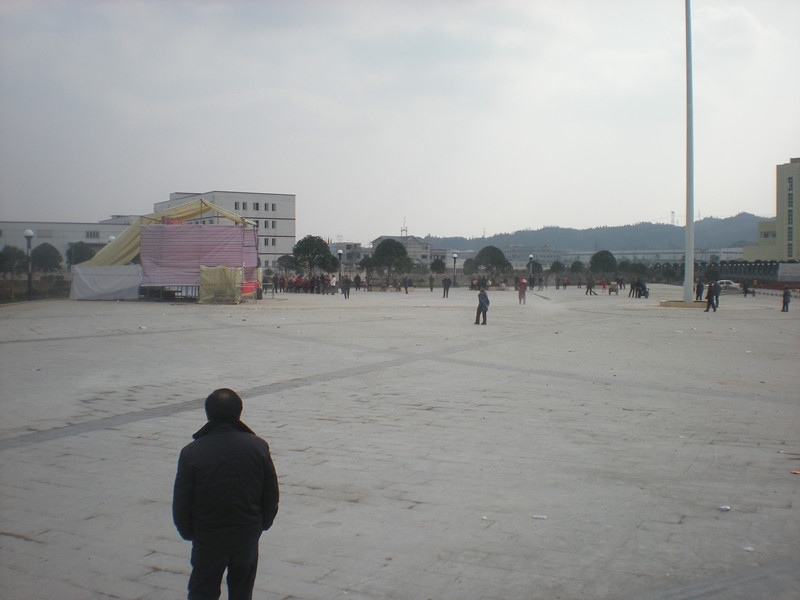 psb (3).jpg