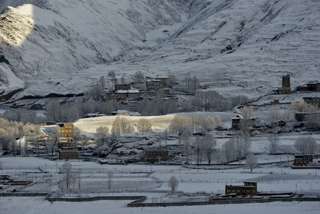_DSC0010.jpg1_С.jpg