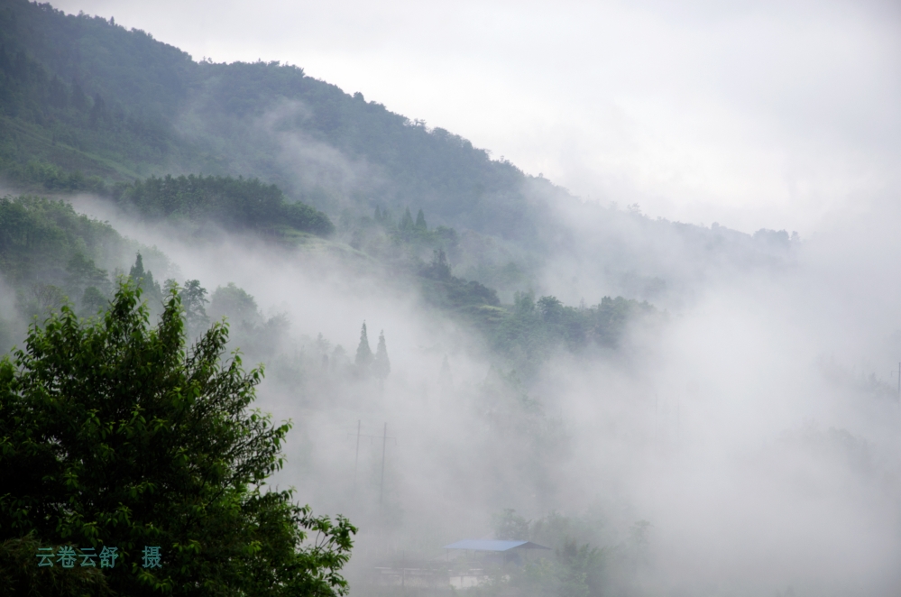 _DSC6112_conew1.jpg