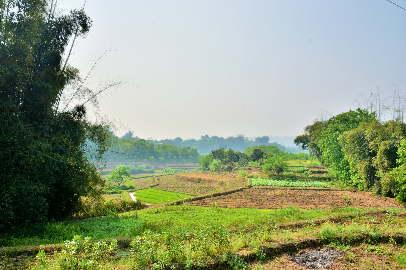 DSC_8425.JPG