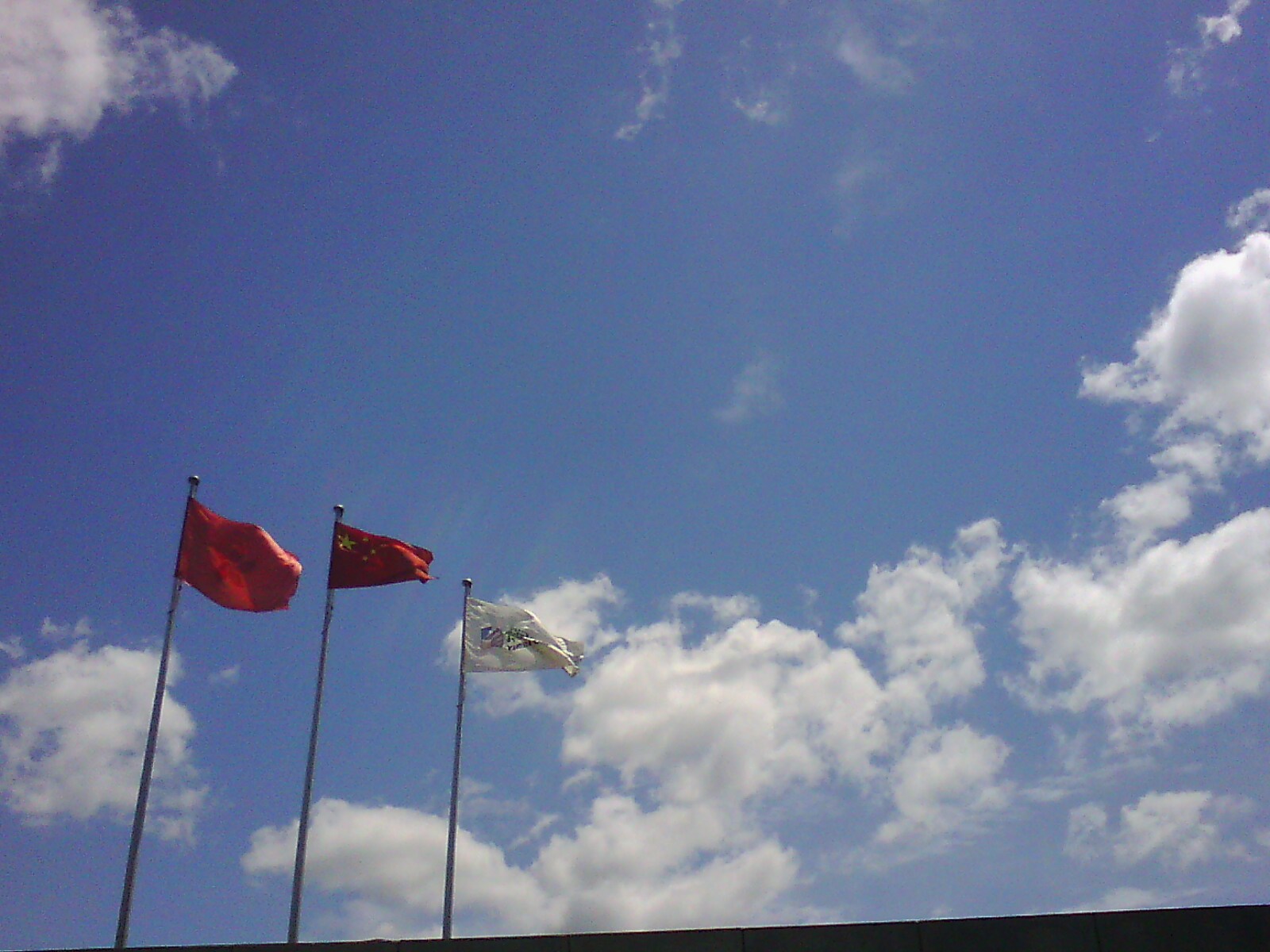 IMG01169.jpg