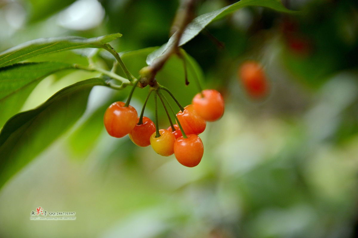 DSC_9976.jpg