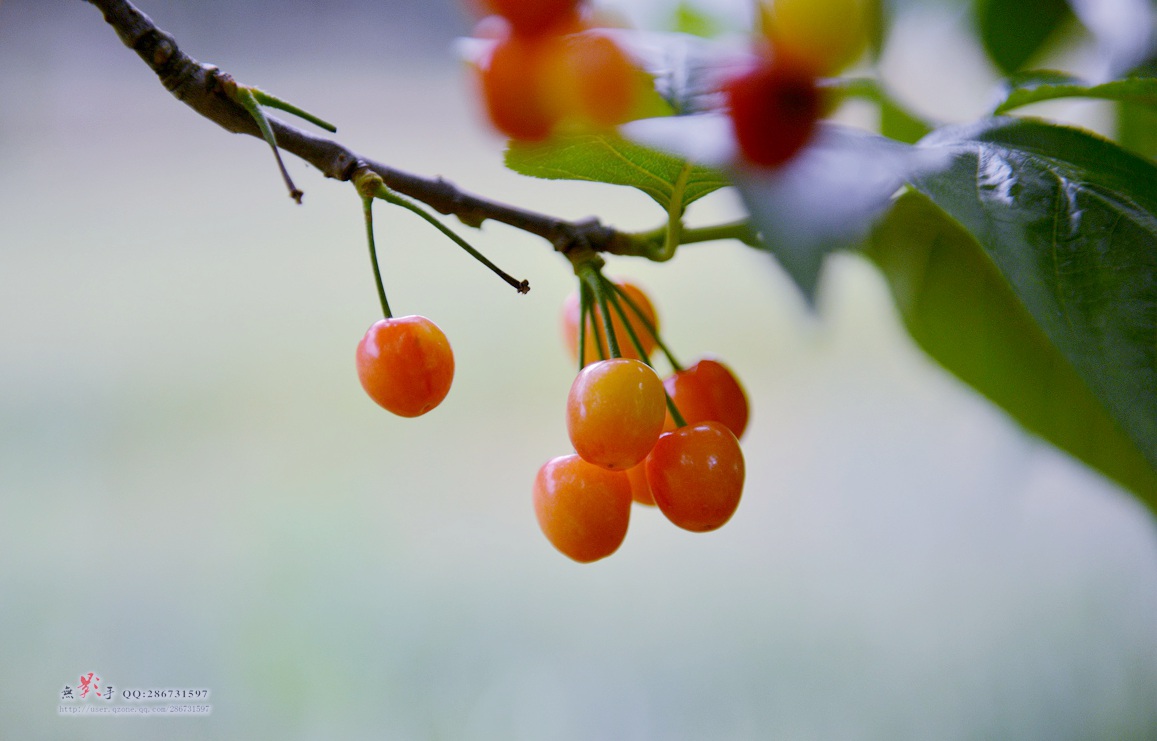 DSC_9978.jpg