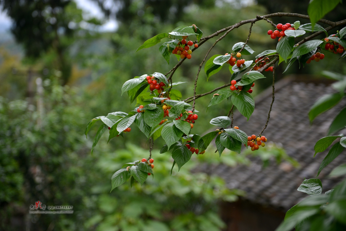 DSC_0028.jpg