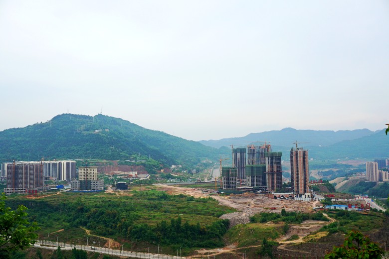 DSC00031_conew1.jpg
