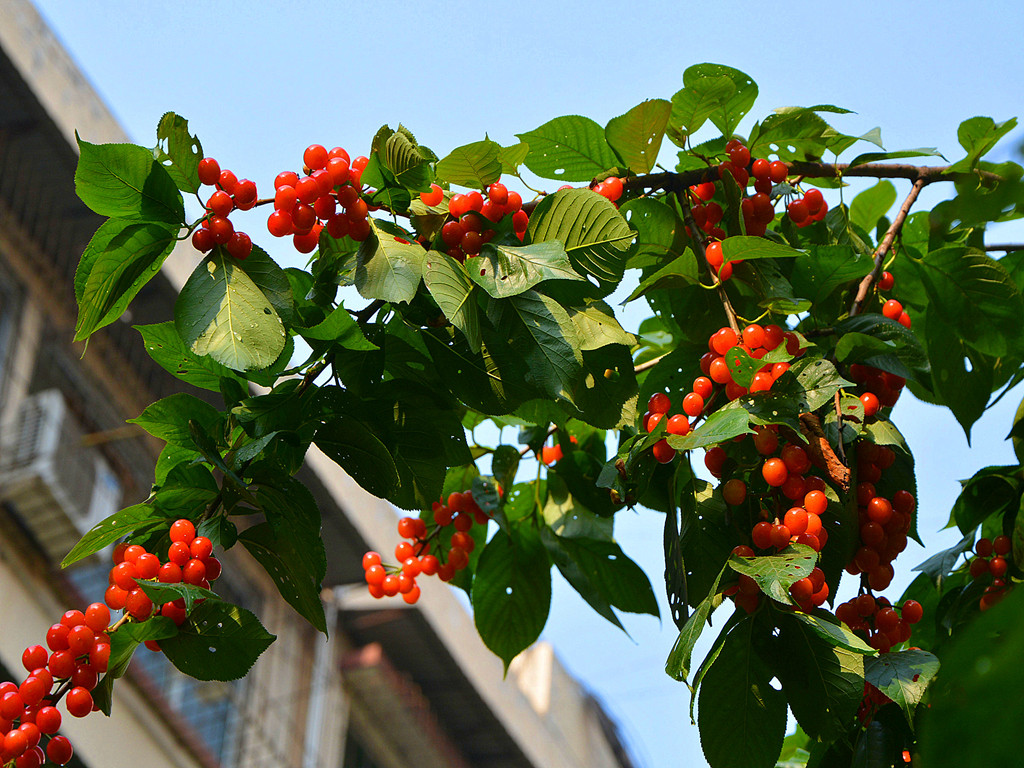 DSC_05.jpg