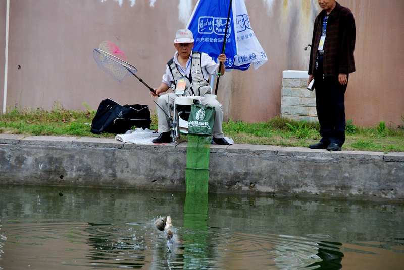 DSC_8105.jpg