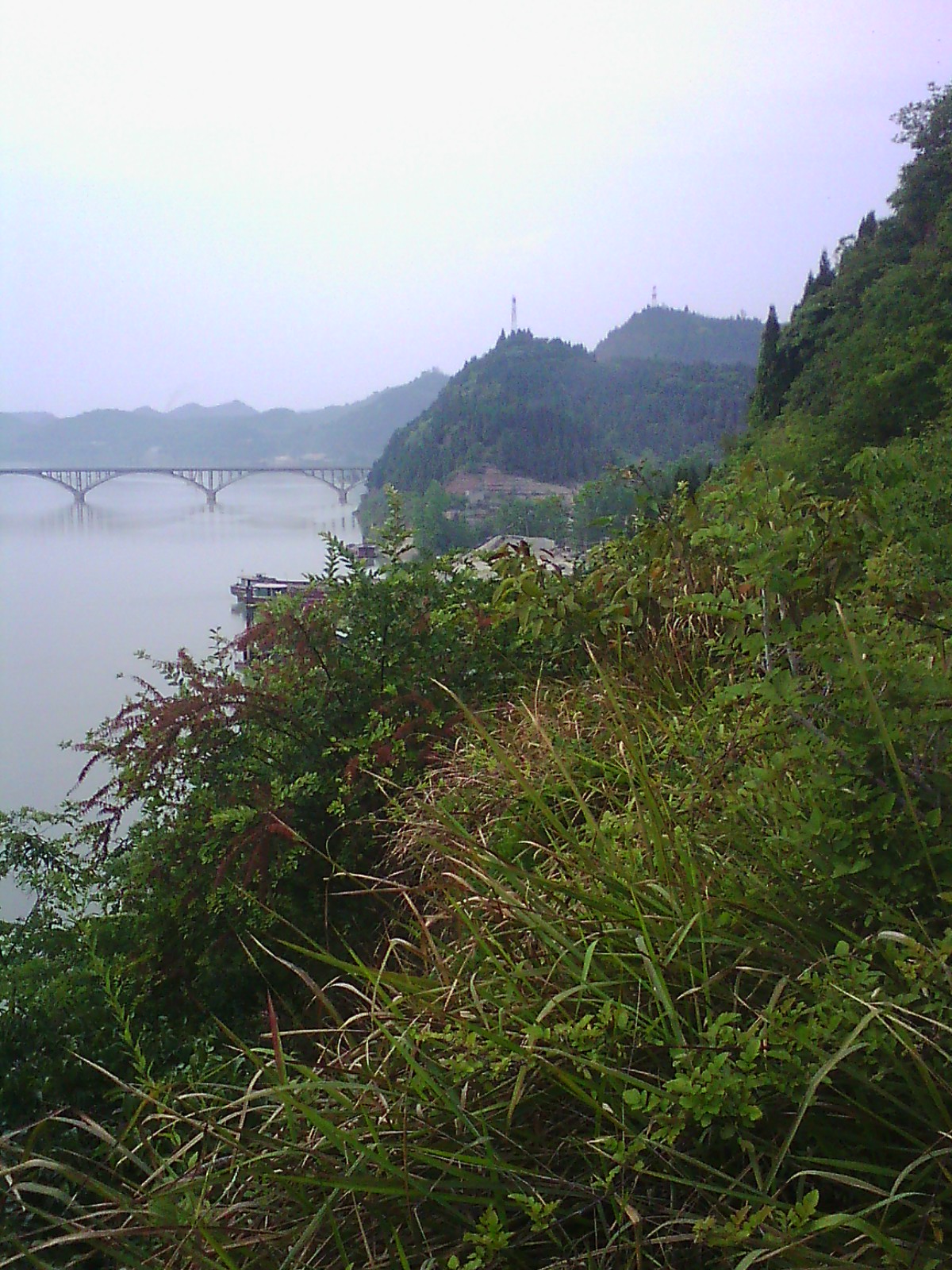 IMG01713.jpg