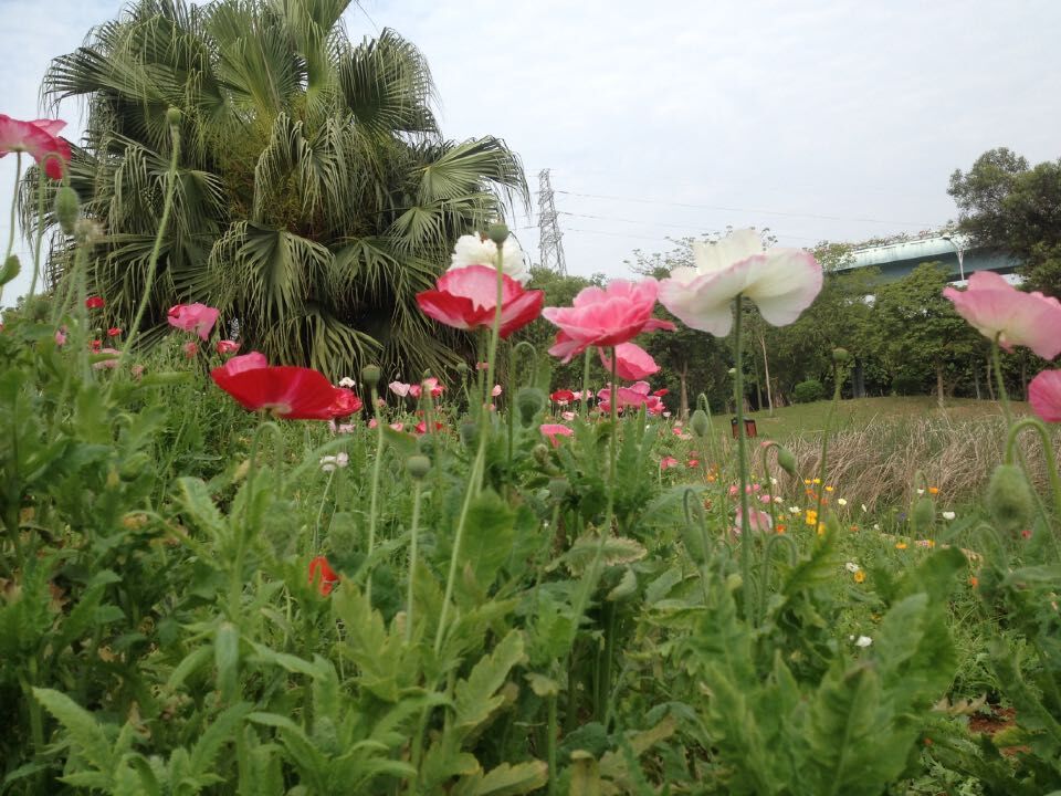 QQͼƬ20150423092525.jpg
