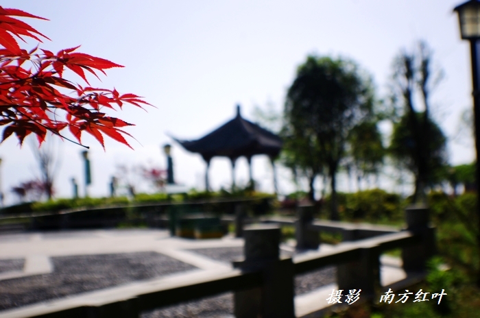 IMGP3163.jpg