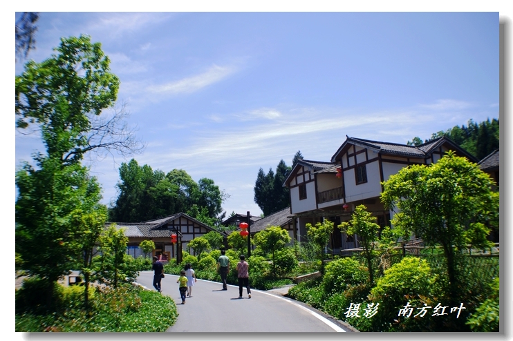 IMGP3072.jpg