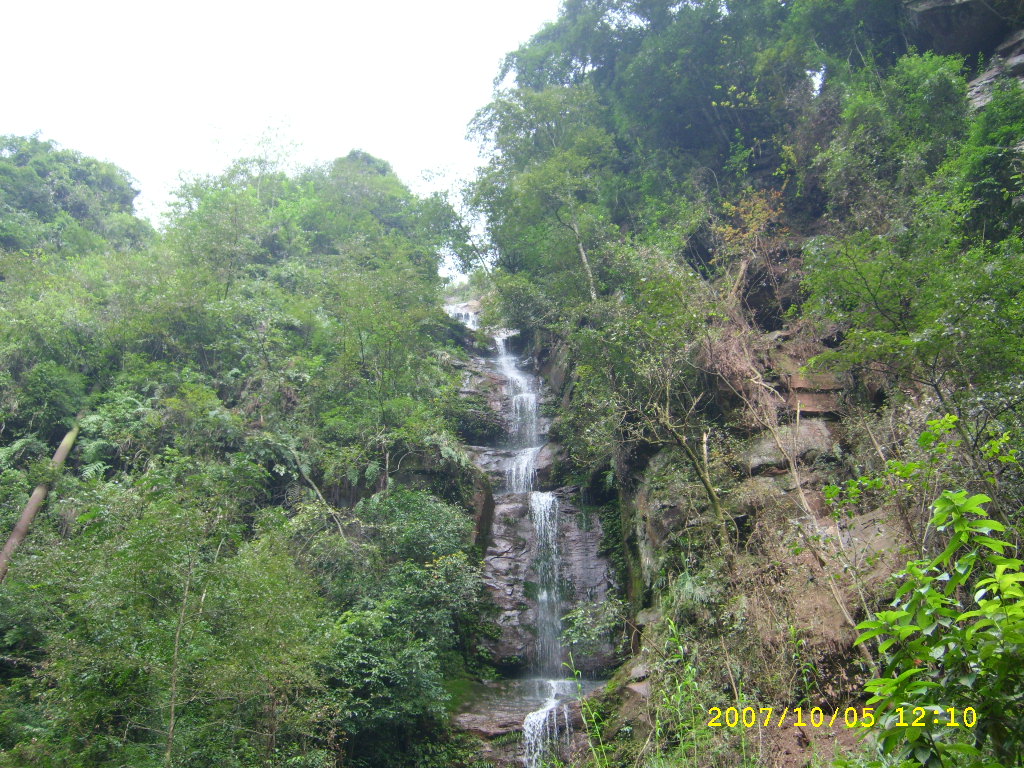 STP62995.JPG