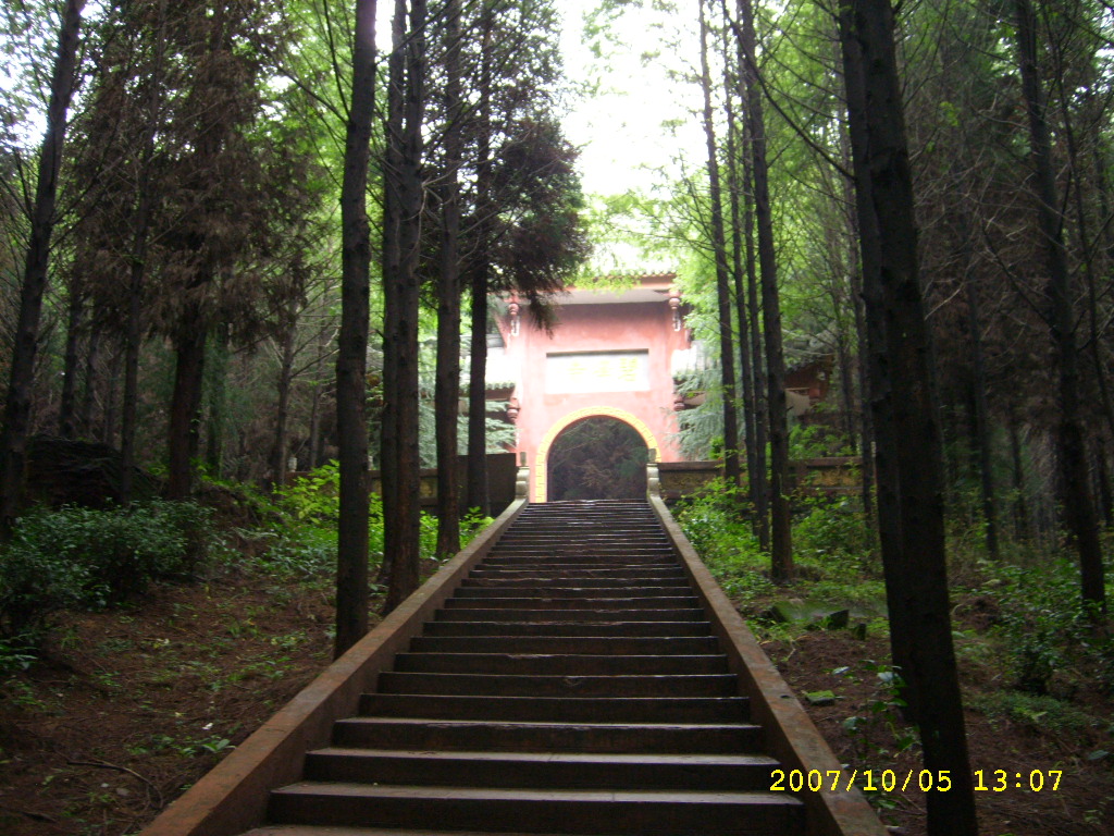 STP63018.JPG