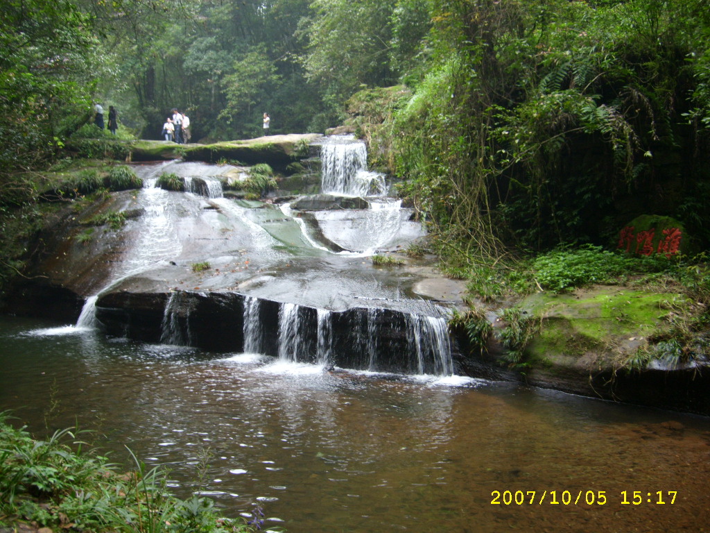 STP63078.JPG