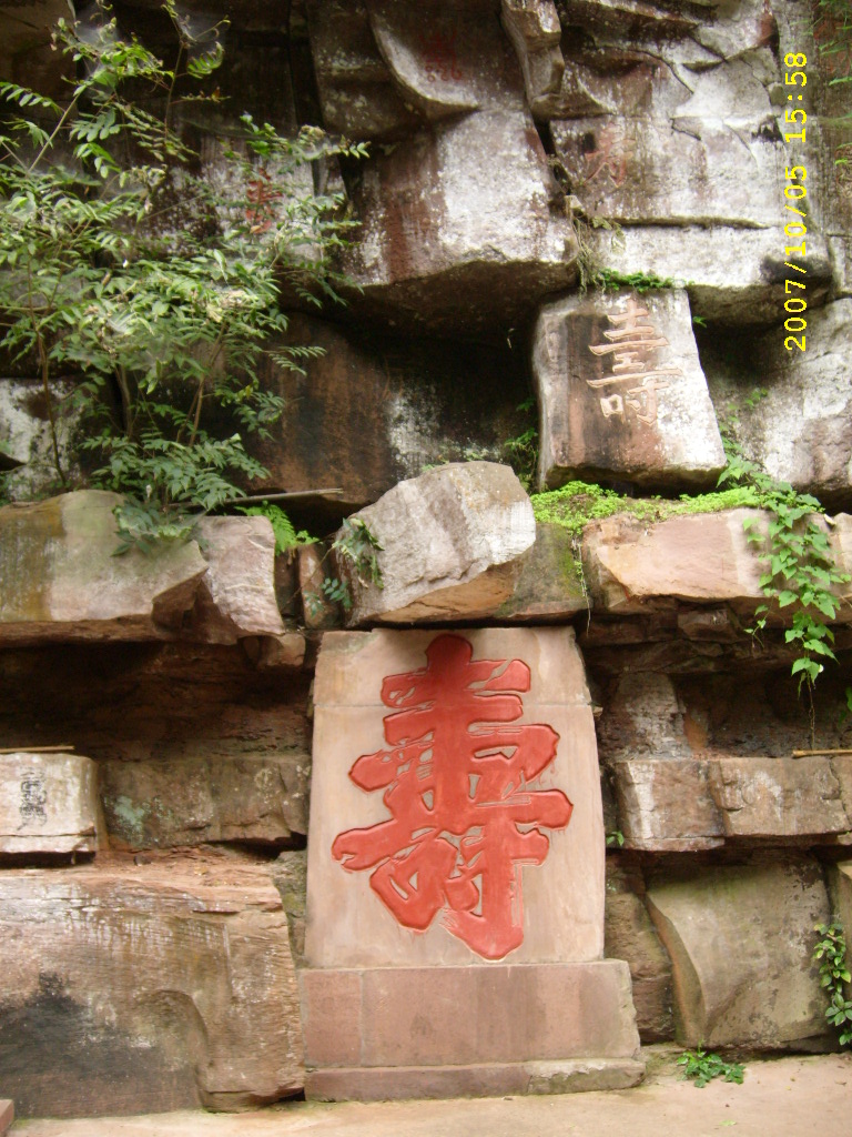 STP63114.JPG