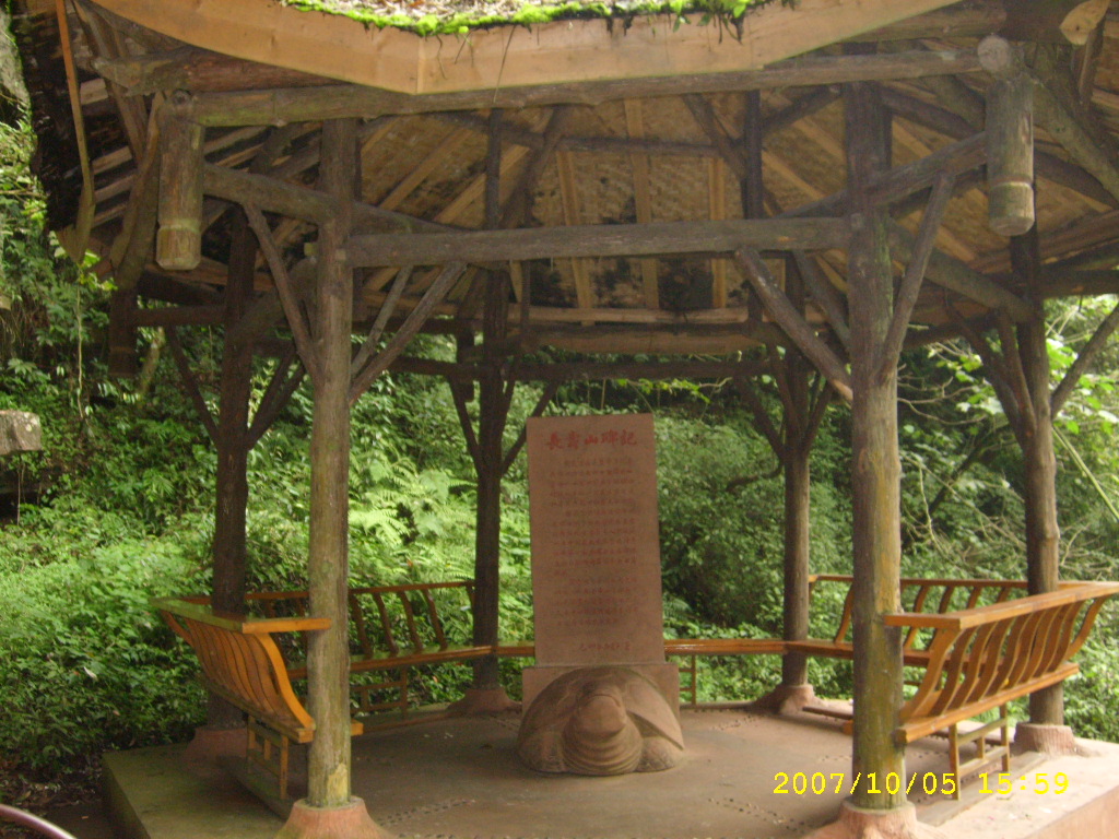 STP63117.JPG