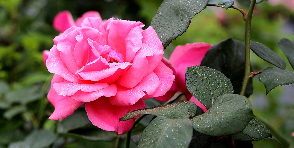 S98A7514_副本.jpg
