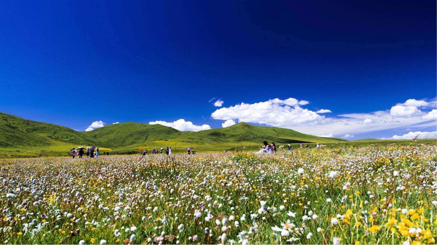 四川有草原的旅游景点图片