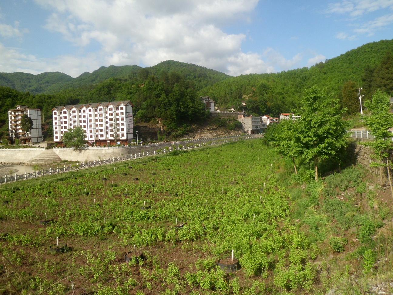 DSCI0648.JPG