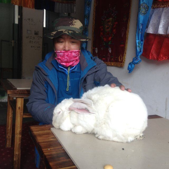 QQͼƬ20150506095540.jpg