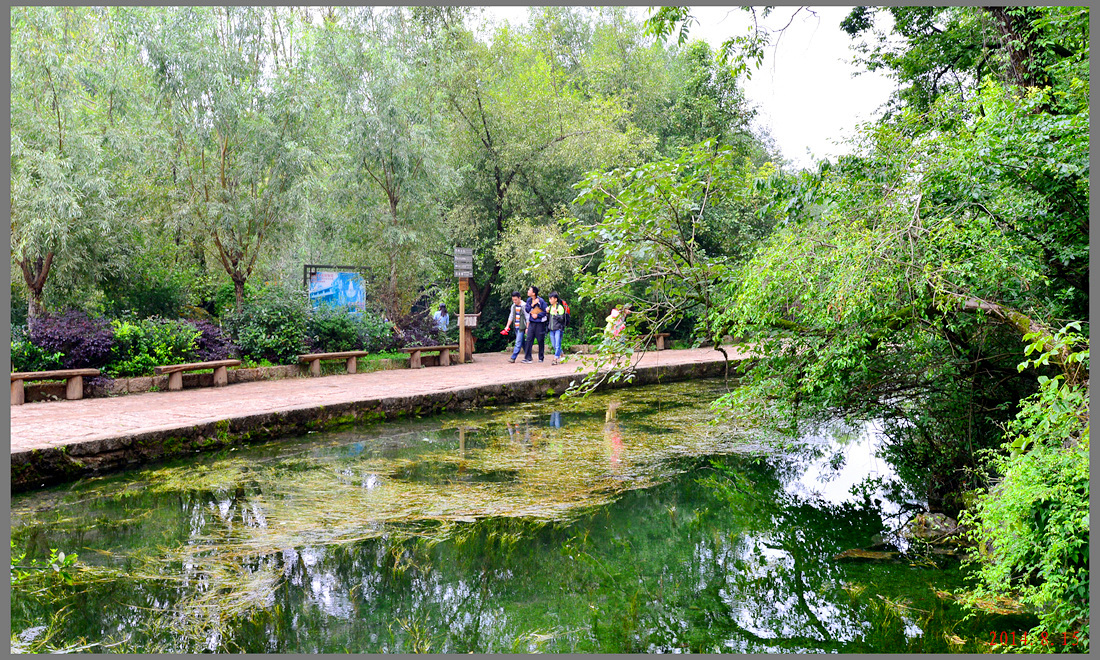 DSC_9721__.jpg