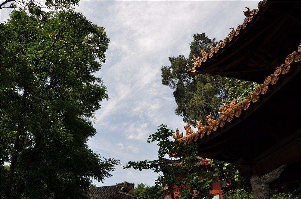 CSC_0402.JPG