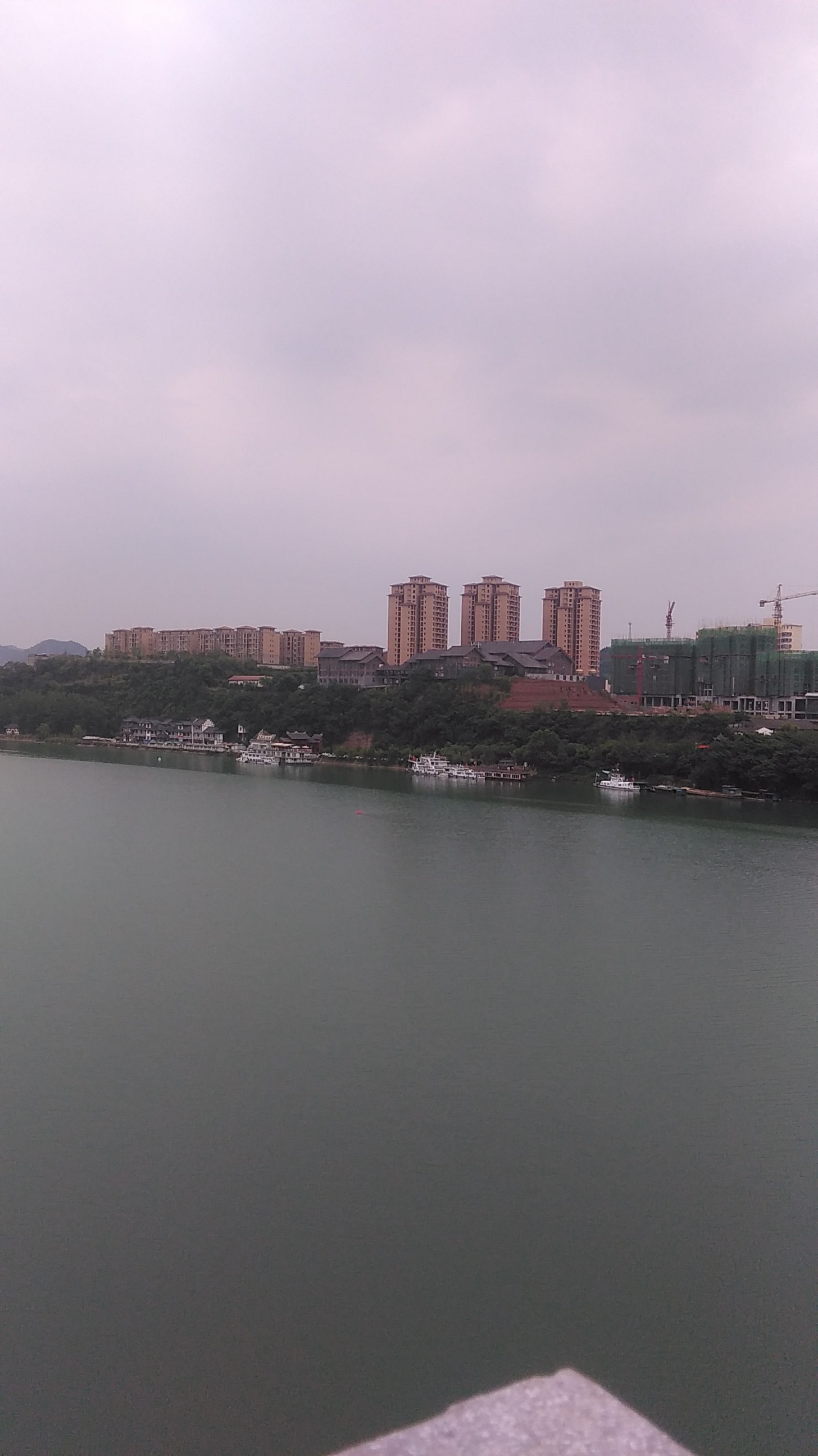 IMG_20150510_160239.jpg