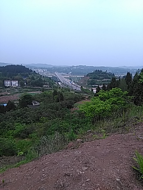 IMG_20150510_161855.jpg