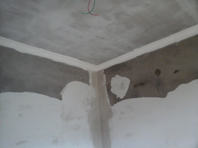 20150510_120104.jpg