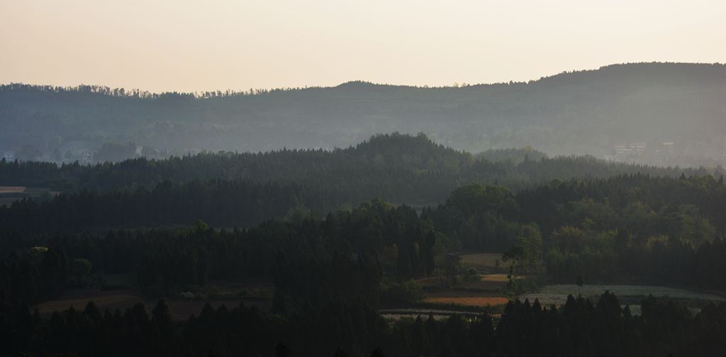 DSC_0114_.jpg