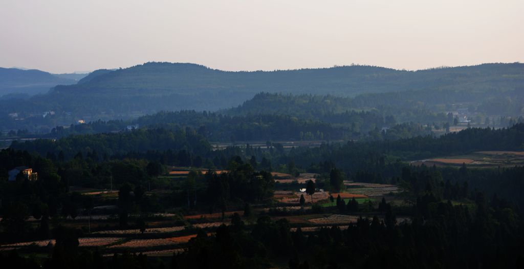 DSC_0115_.jpg