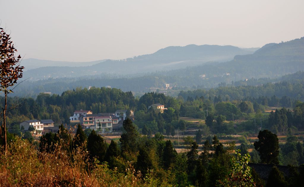 DSC_0125_.jpg