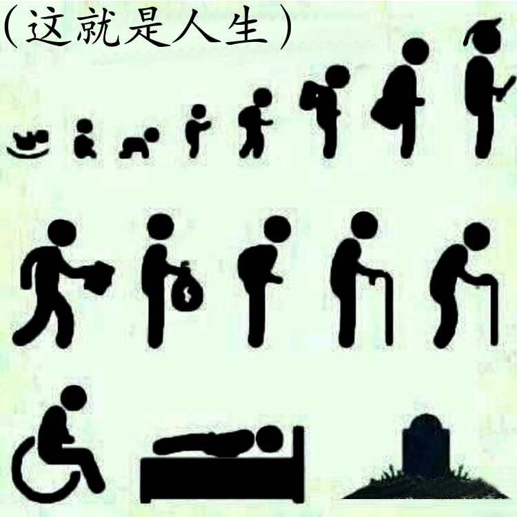 .jpg