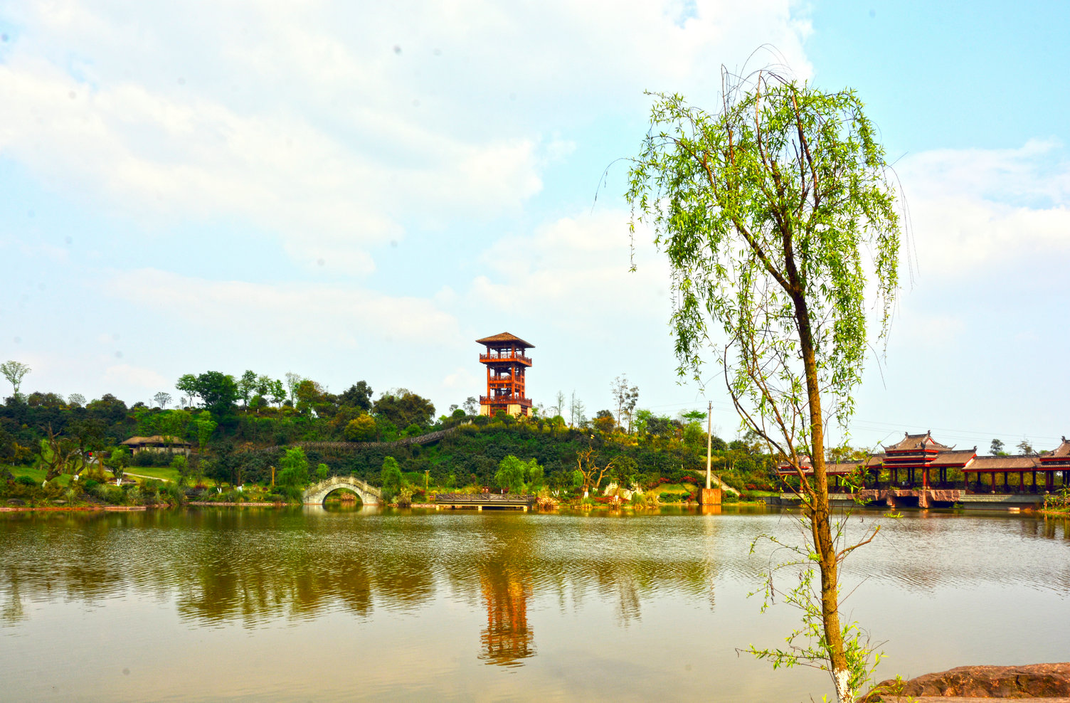 泸州张坝桂圆林风景区图片