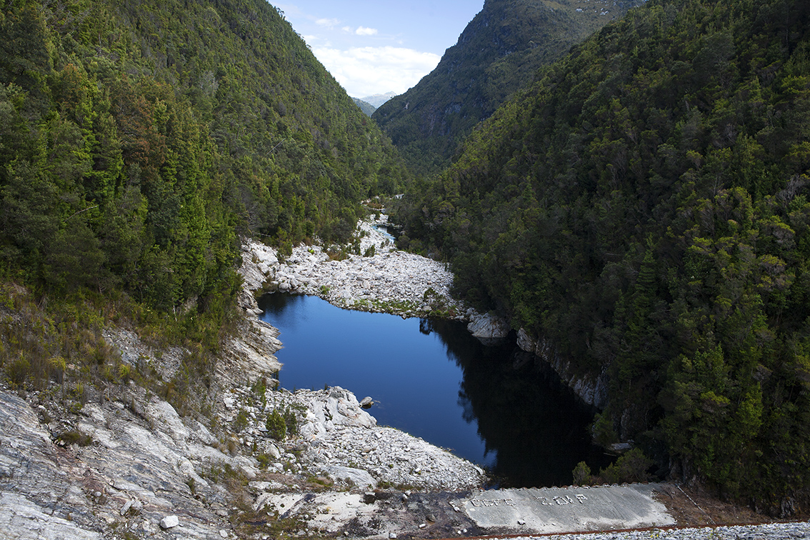 _MG_2973.jpg