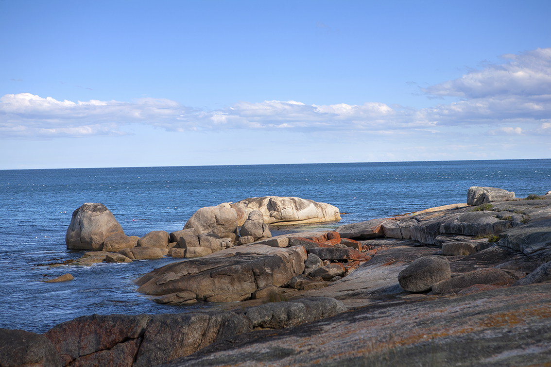 _MG_3135.jpg