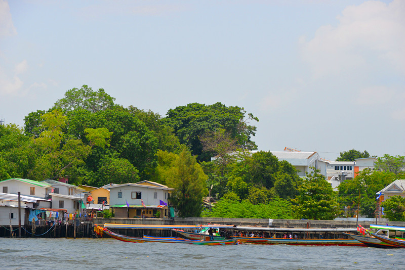 DSC_6268_.jpg