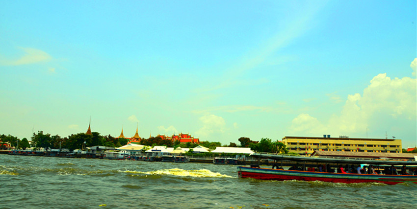 DSC_6239_.jpg