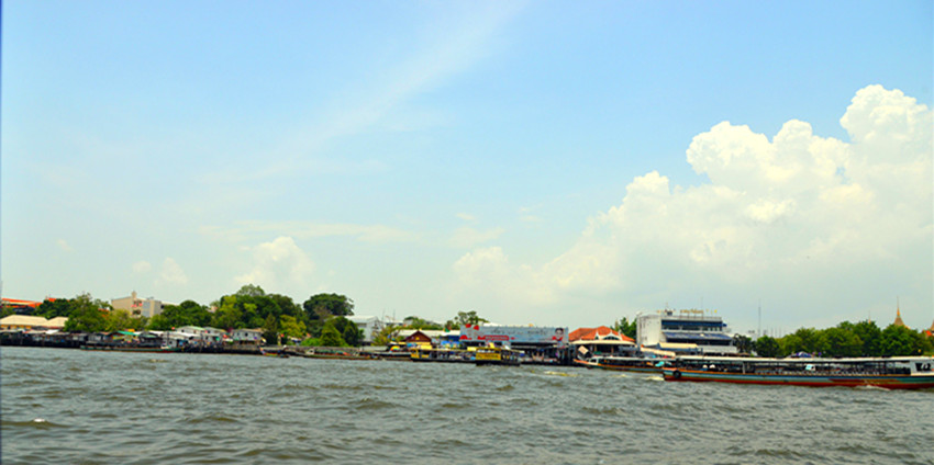 DSC_6254_.jpg