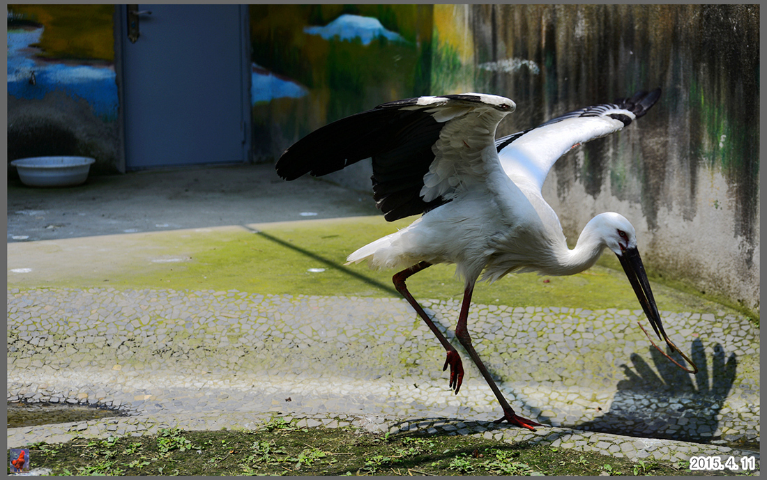 DSC_1248__.jpg
