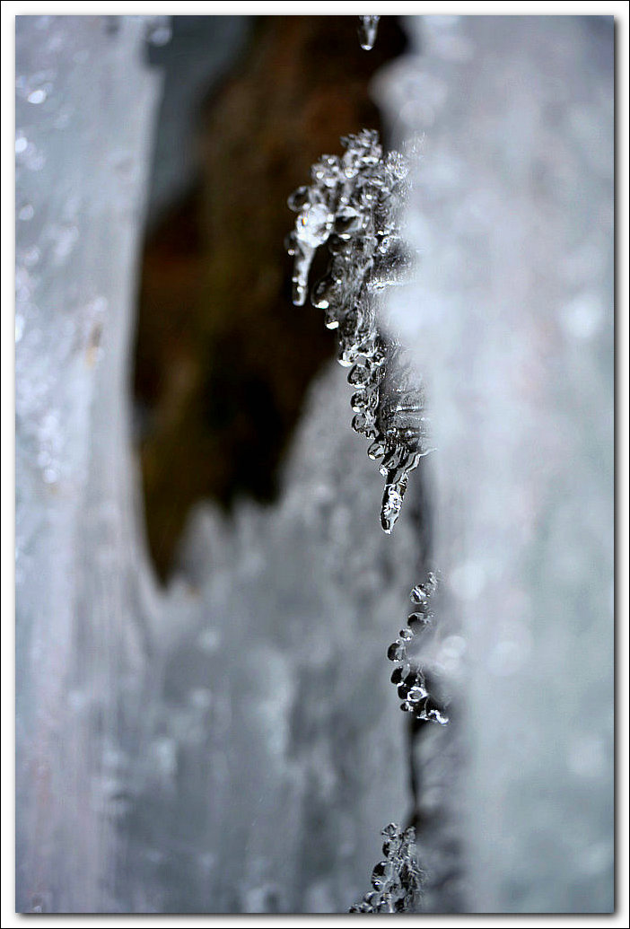 DSC_9033_.jpg