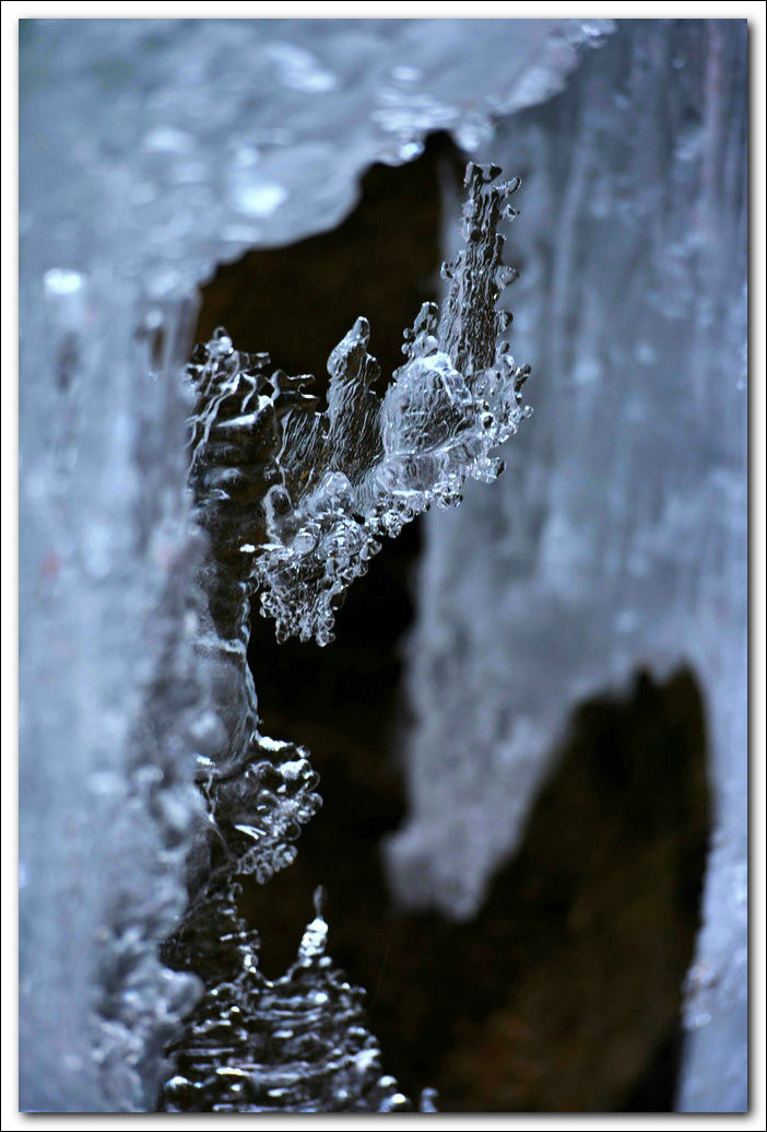 DSC_9049_.jpg