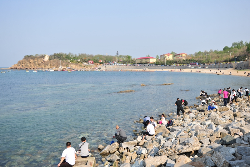 DSC_3371.JPG