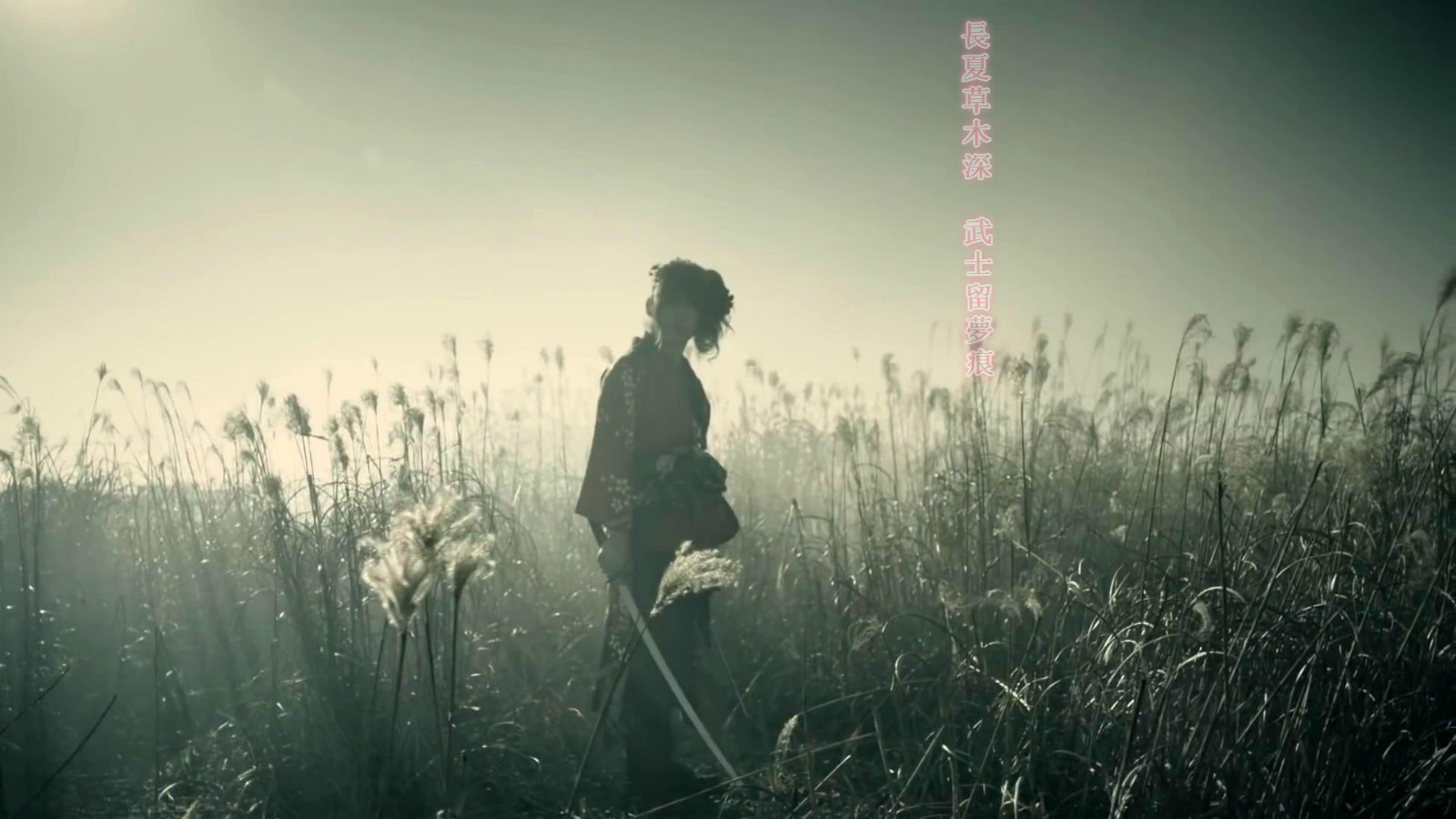 ͘SХ - -ikusa-Wagakki BandIkusaMusic Video_2015519172214_meitu_1.jpg