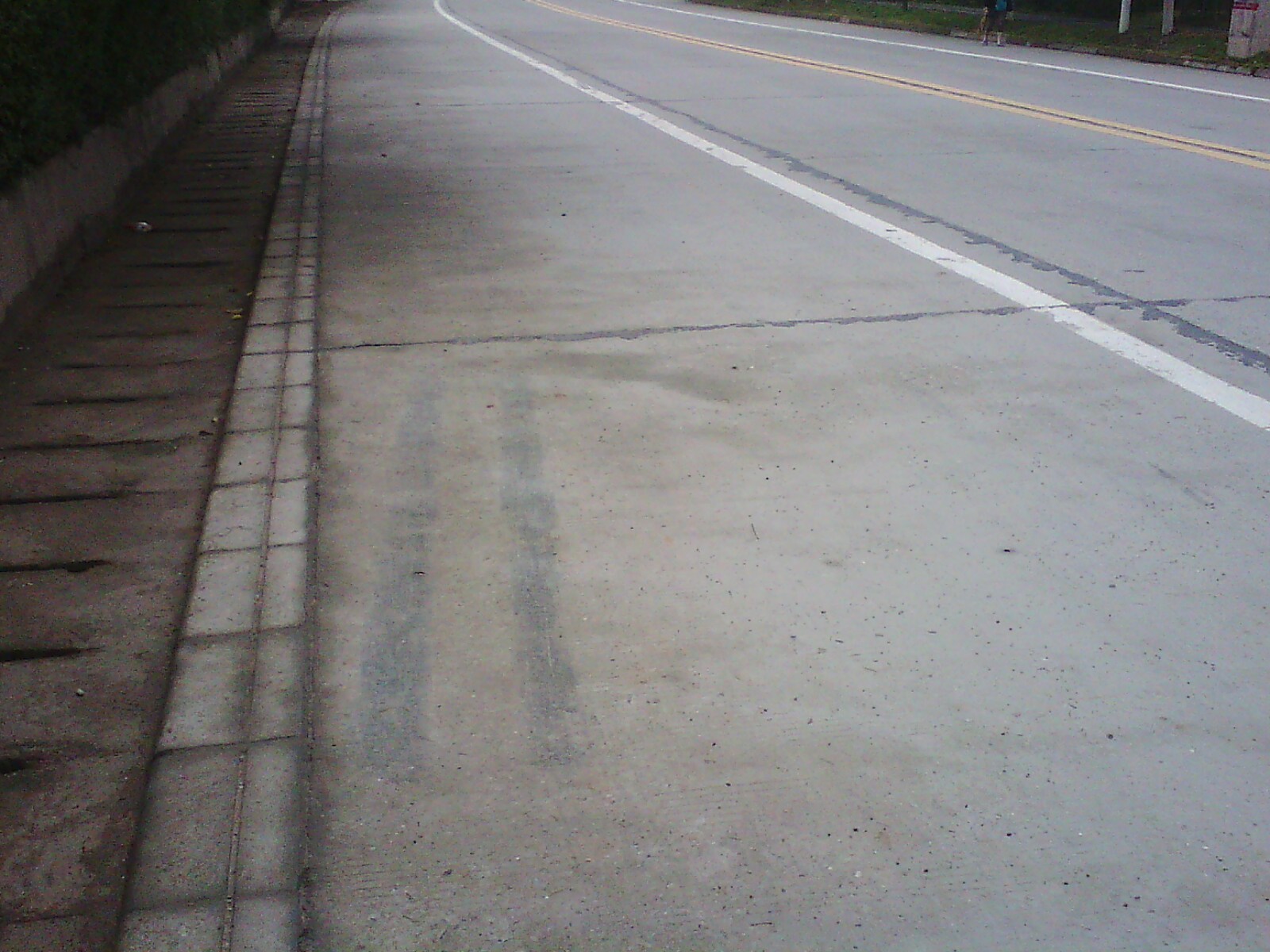 IMG02718.jpg
